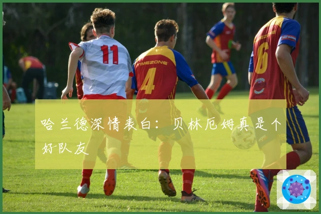 哈兰德深情表白：贝林厄姆真是个好队友