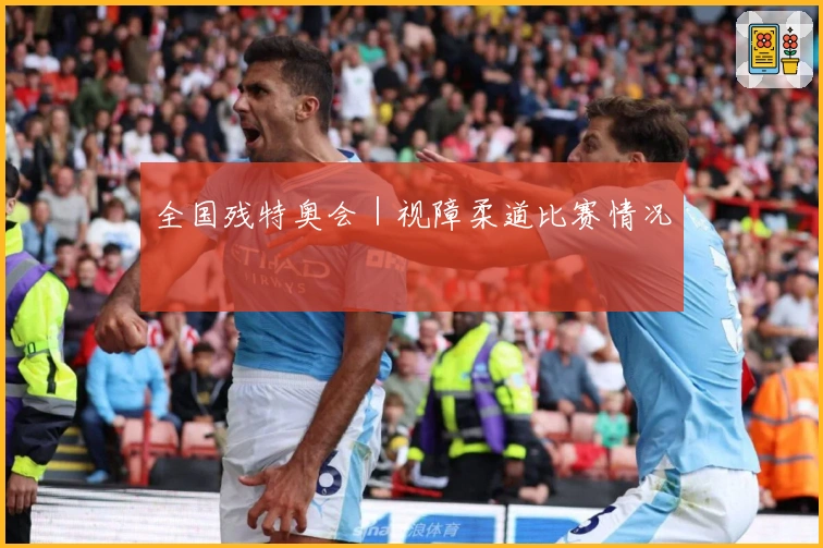全国残特奥会｜视障柔道比赛情况